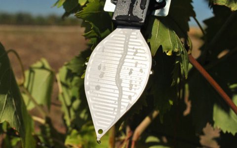 Sensori in viticoltura
